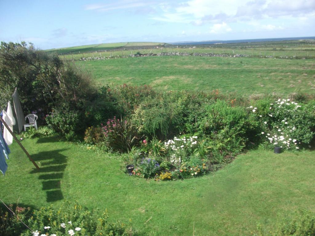 Fuchsia House Bed And Breakfast Connemara Renvyle Eksteriør billede