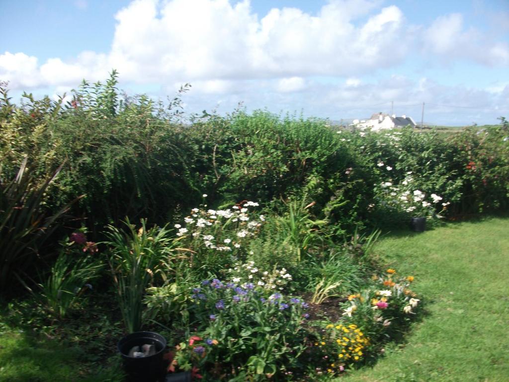 Fuchsia House Bed And Breakfast Connemara Renvyle Eksteriør billede